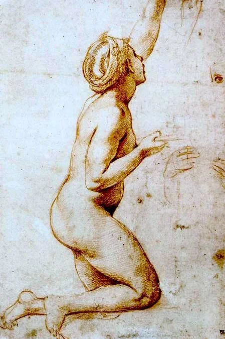 Naked Woman From Behind.JPG