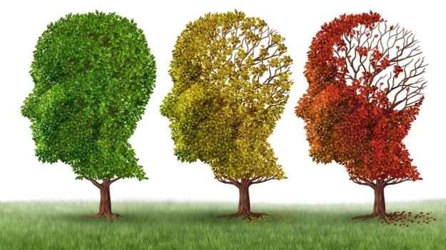 Dementia:     Alzheimer’s Disease