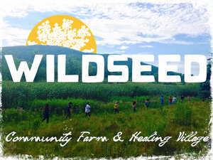 Wildseed Community Farm &amp; Healing Village