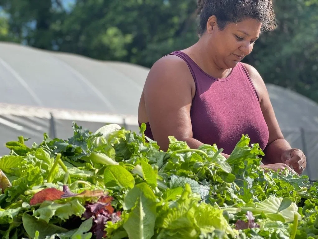 NBFJA Awards over $450,000* to Black Farms and Land Collectives Through its Resource Commons Initiative