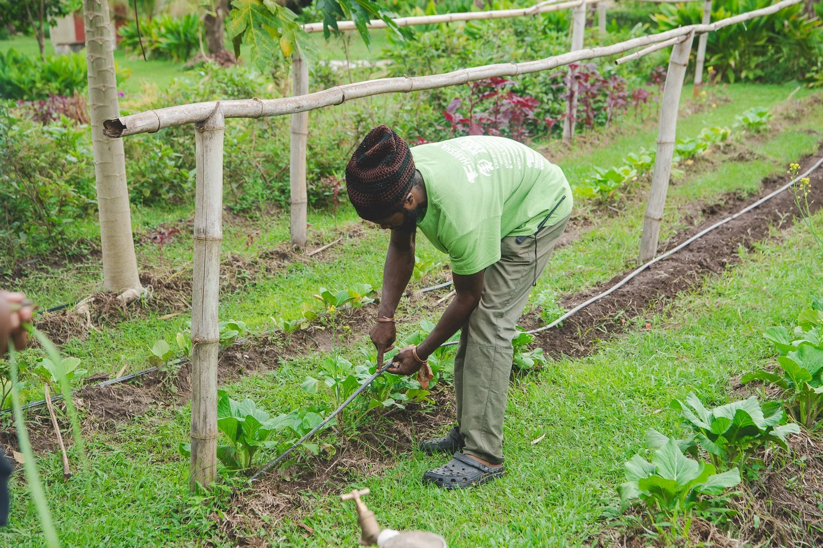 "It shouldn't take much to maintain."