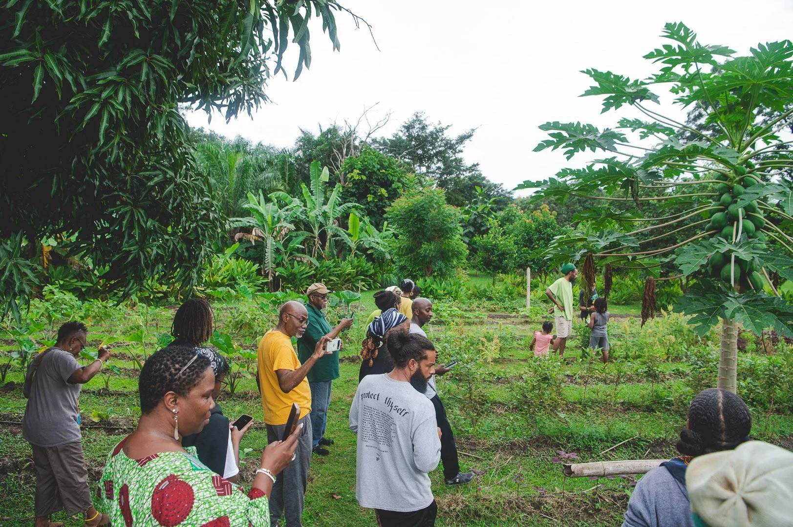 Diasporic and Ghanaian African farmers work to protect Indigenous food systems 