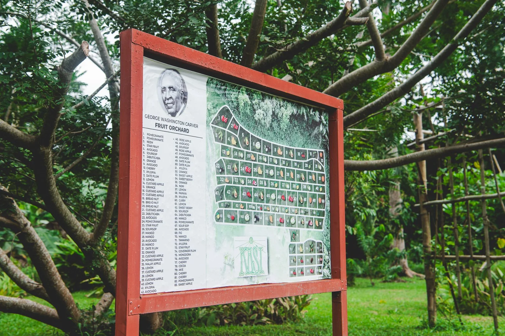 The George Washington Carver Fruit Orchard