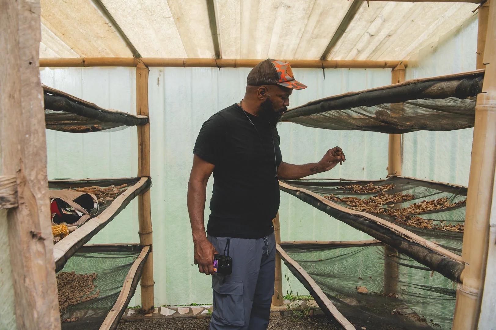 The Solar Dehydrator