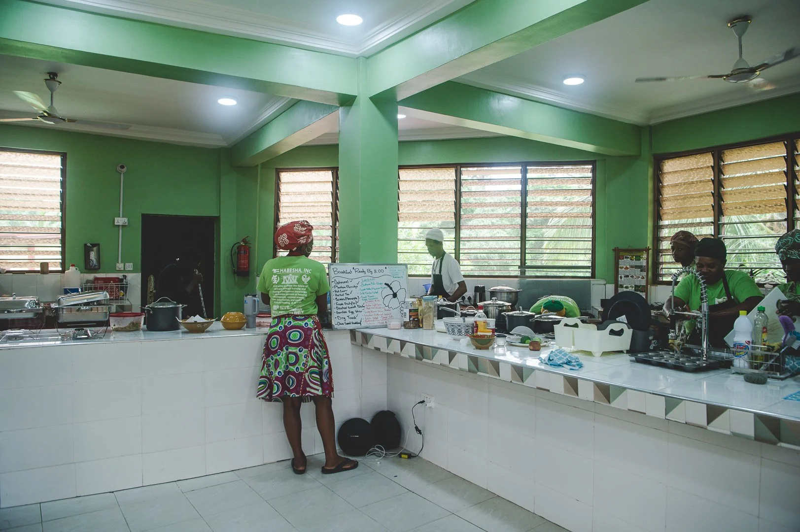 The Dr. Sebi Teaching Kitchen