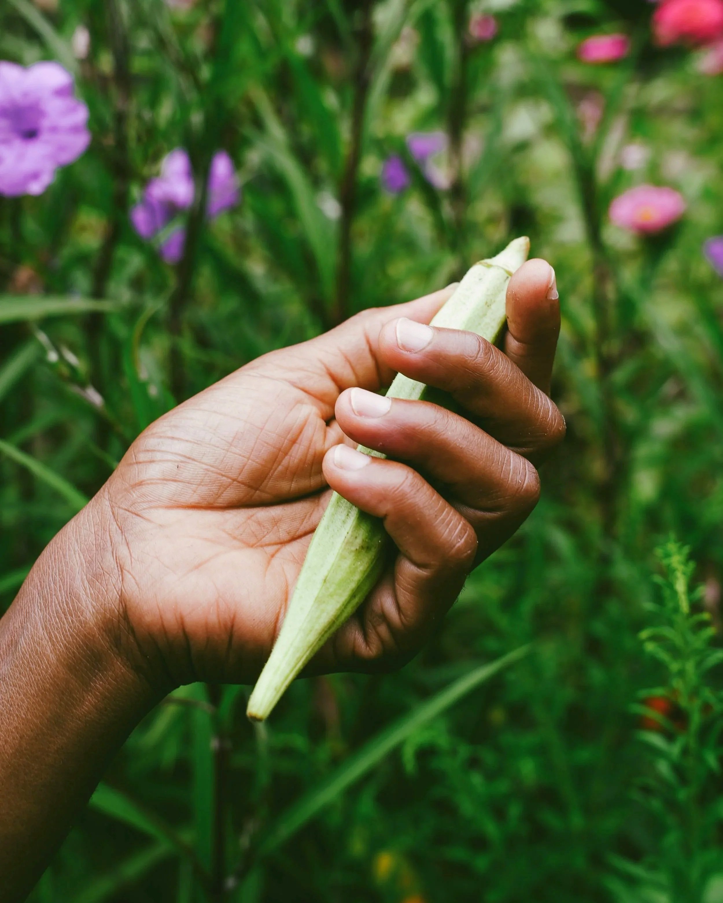 KAZI @ Sapelo-81.jpg