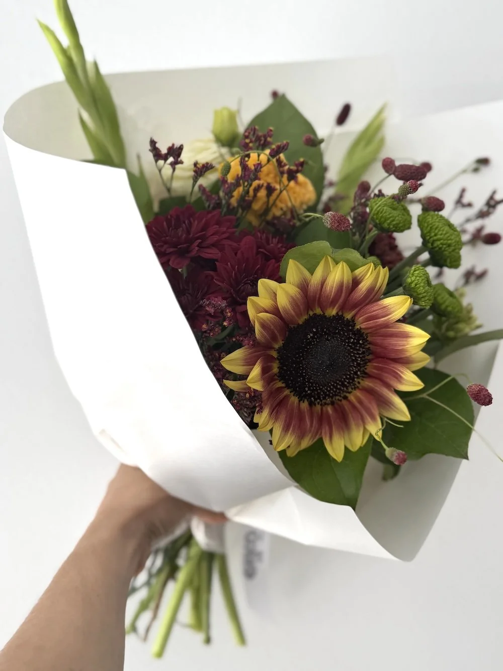 eiko subscription.jpg