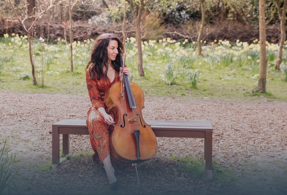 Lucy Cello Bottom Gradient.png