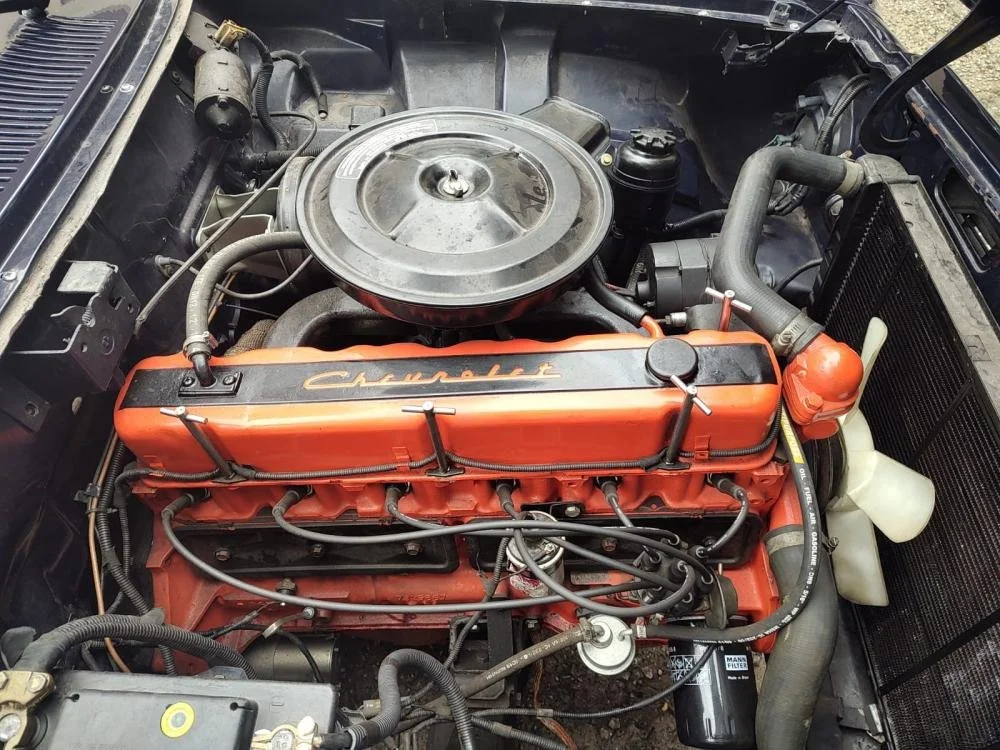 opala for sale_6.jpg