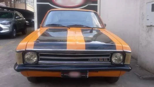 opala_4.JPG