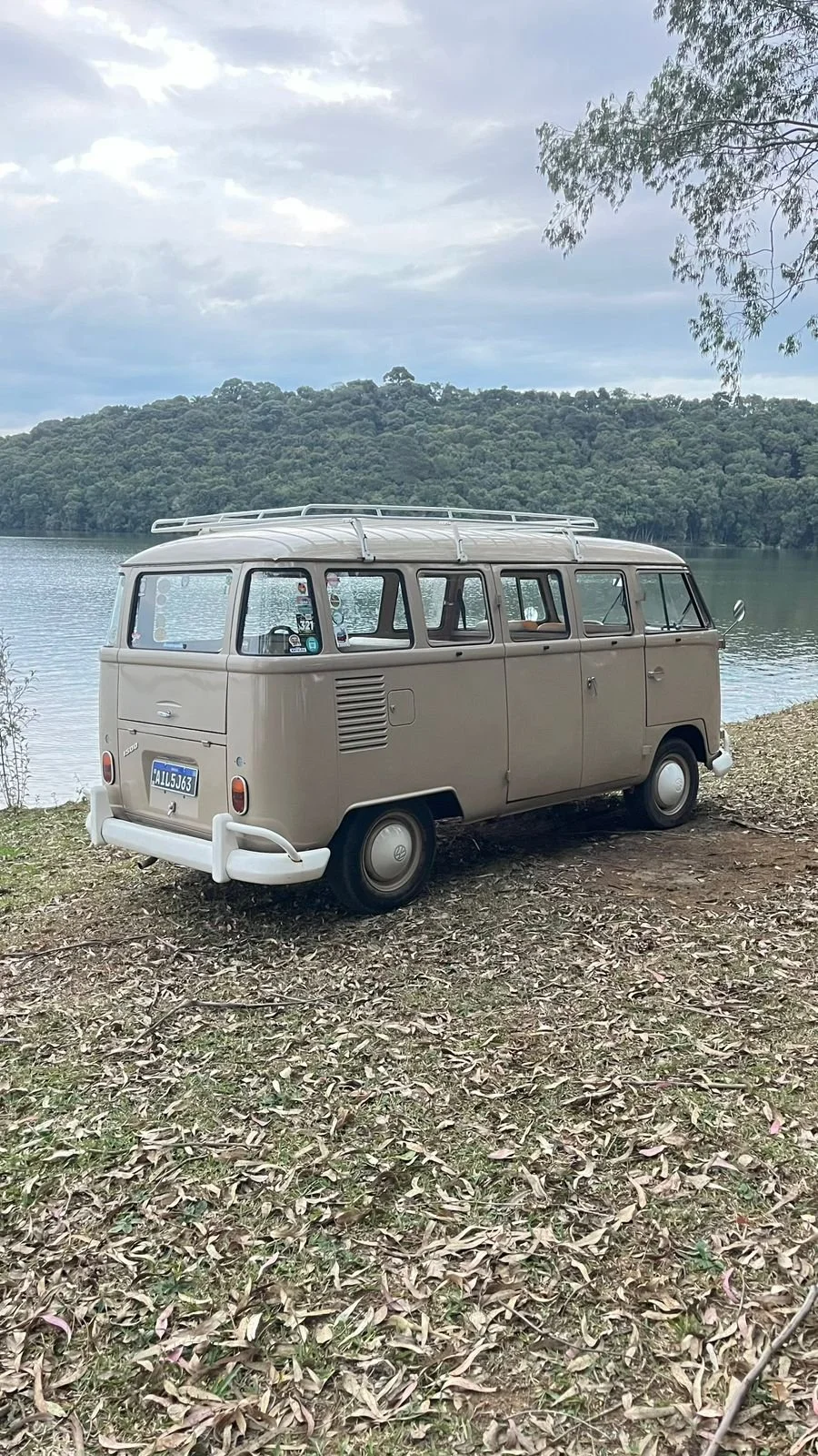 vw t1 splitwindow bus for sale (10).jpeg