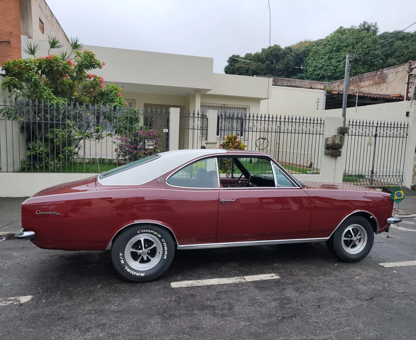 opala for sale_11.jpg