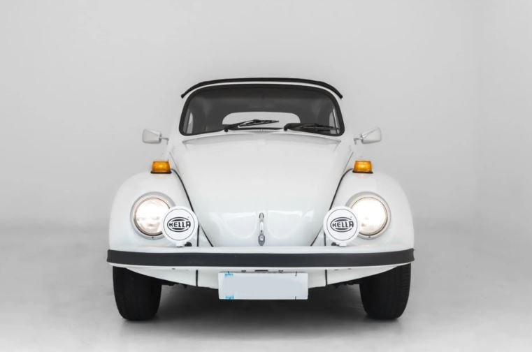 beetle_1.JPG
