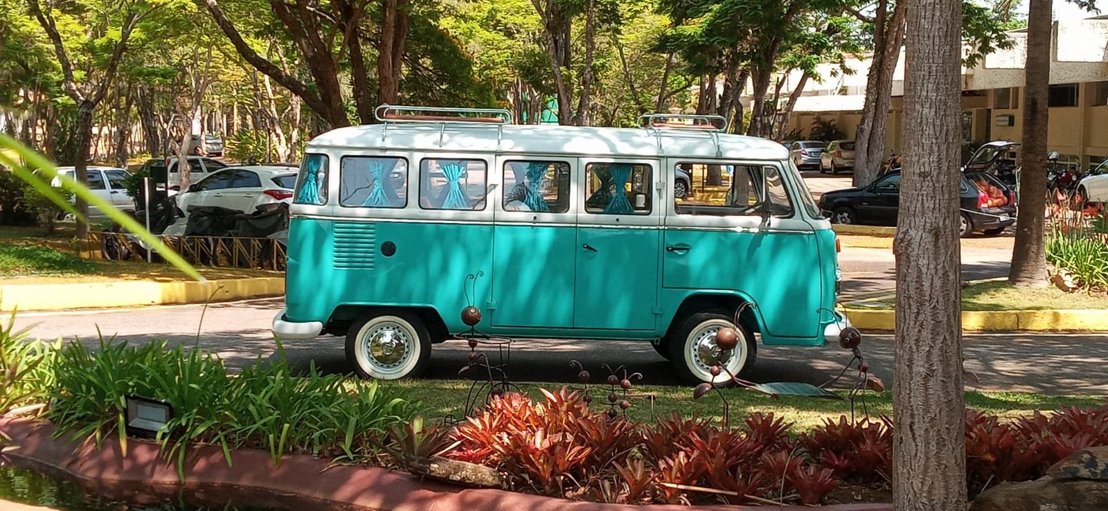baywindow camper van (17).jpeg