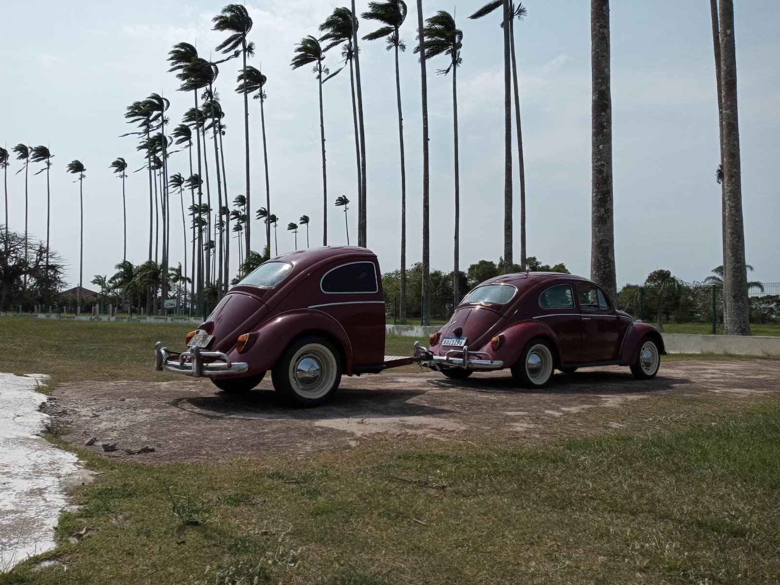 1965 vw beetle (1).jpeg