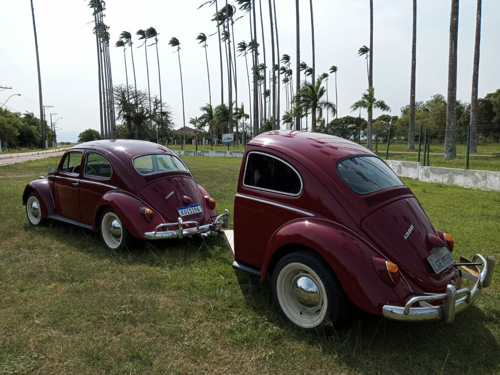 1965 vw beetle (27).jpeg