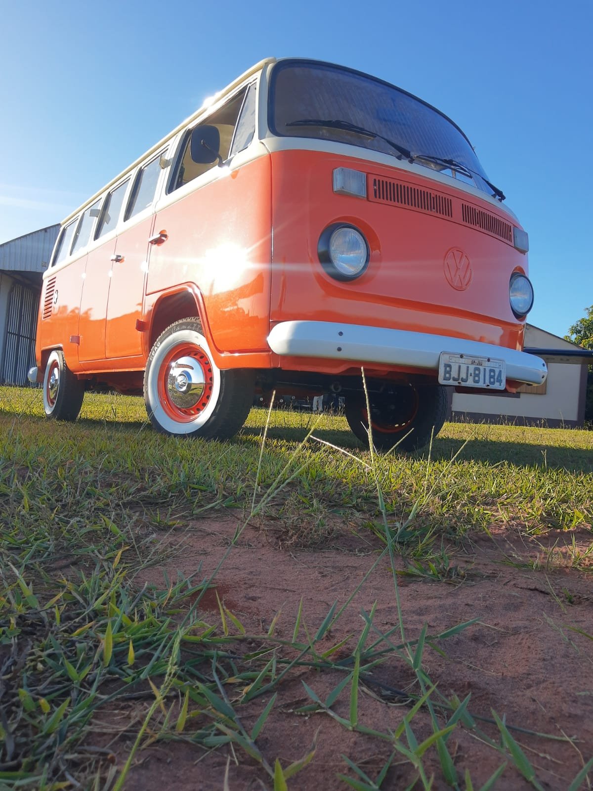 baywindow_bus_for_sale (7).jpeg