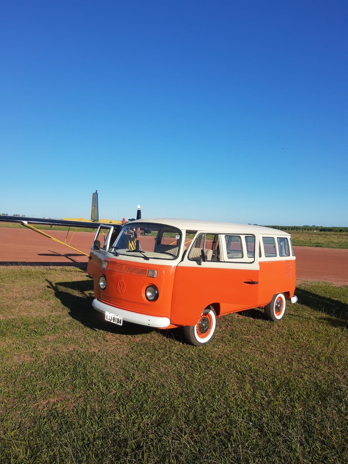 baywindow_bus_for_sale (10).jpeg
