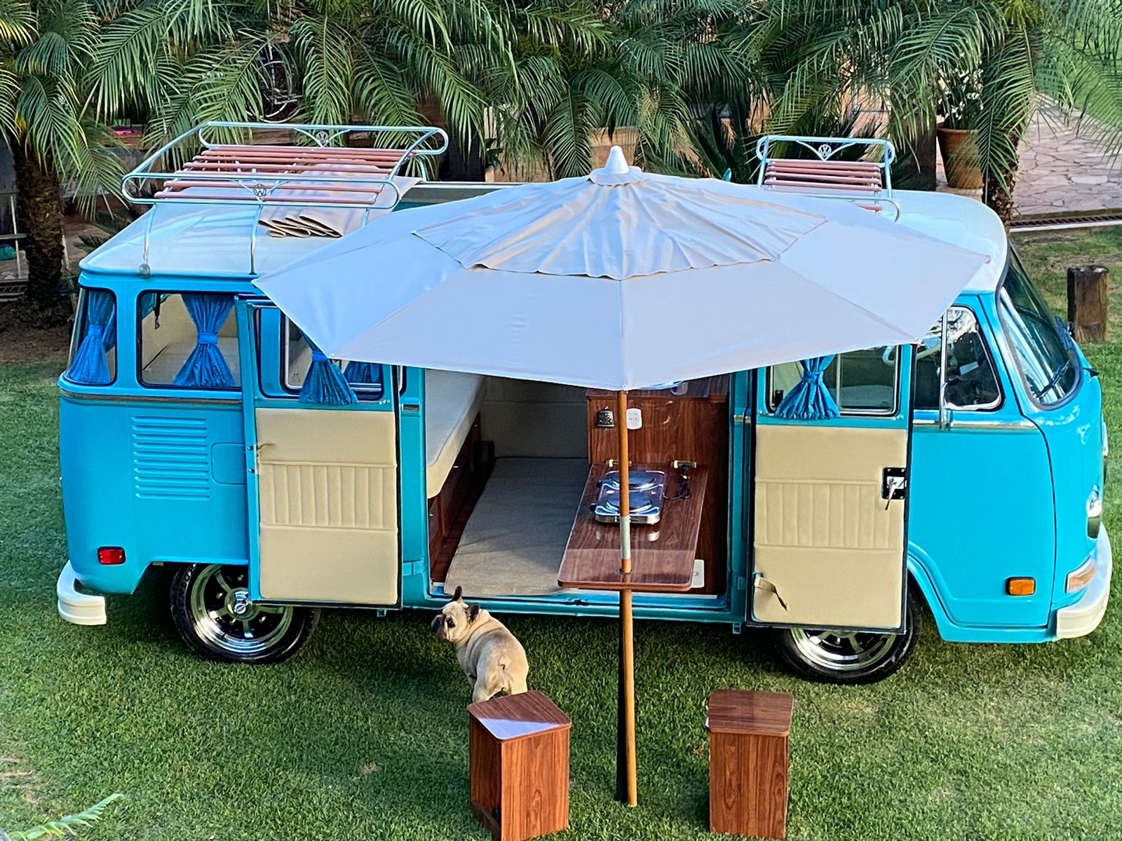 vw_blue_camper_van_for_sale (17).jpeg