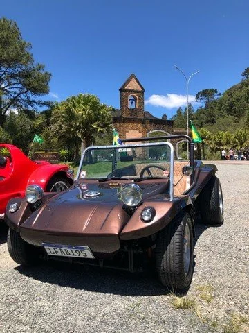 bug for sale (20).jpg