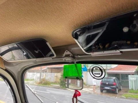 vw beetle oval for sale (4).jpeg