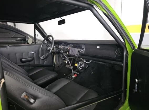 Opala_4.JPG