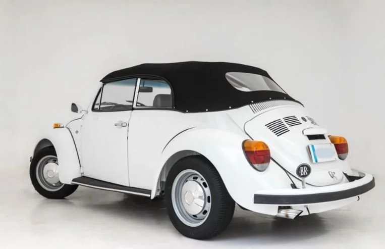 beetle_2.JPG