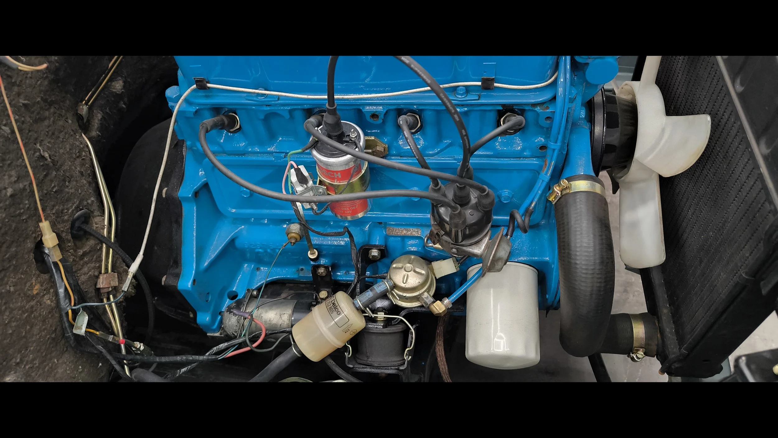 Opala (13).jpg