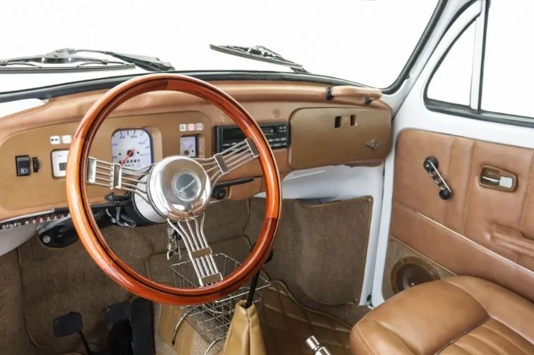 beetle_8.JPG