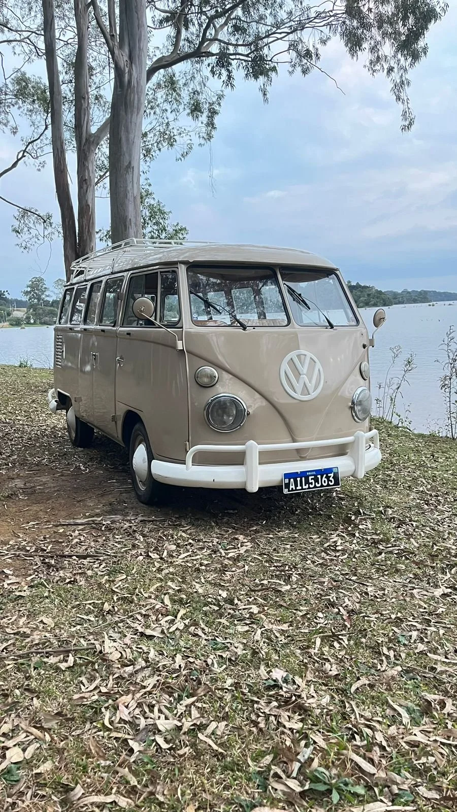 vw t1 splitwindow bus for sale (7).jpeg
