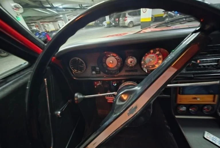 opala for sale in brazil_5.JPG