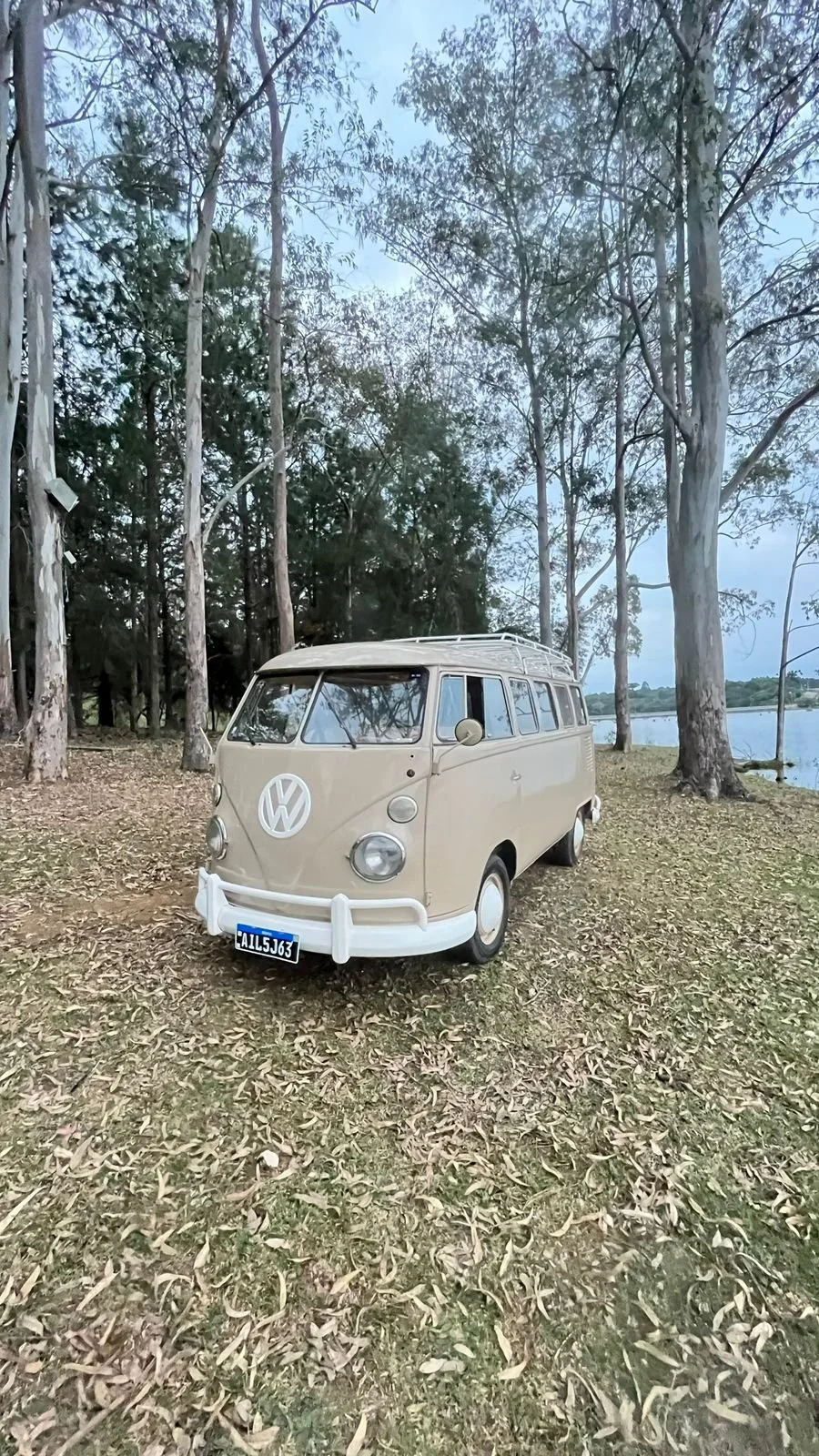 vw t1 splitwindow bus for sale (44).jpeg