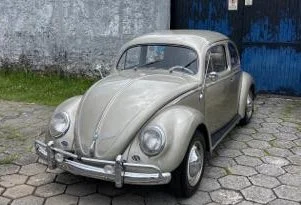 vw beetle oval for sale (17).jpeg