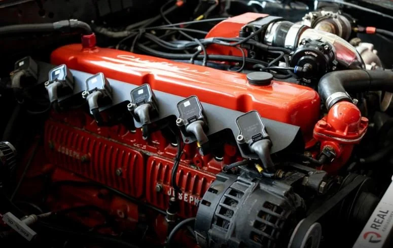 Opala_4.JPG