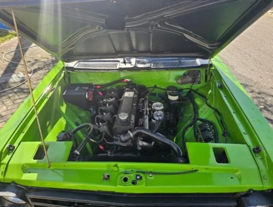 Opala_3.JPG