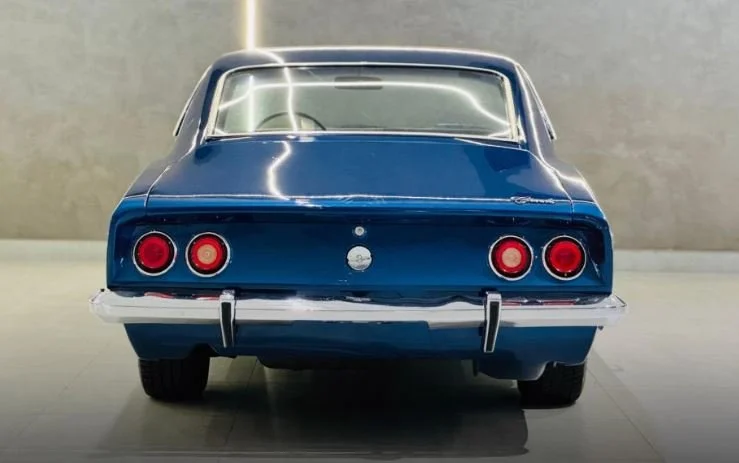 opala for sale_4.JPG