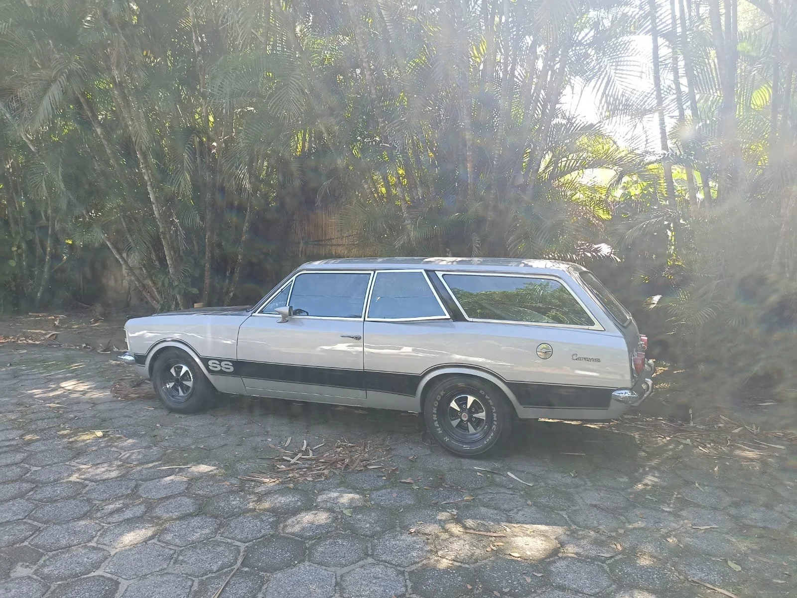 chevrolet caravan (10).jpeg