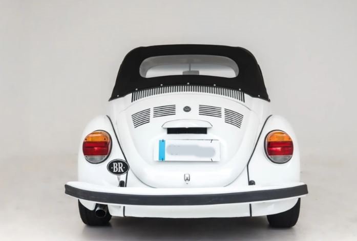 beetle_3.JPG
