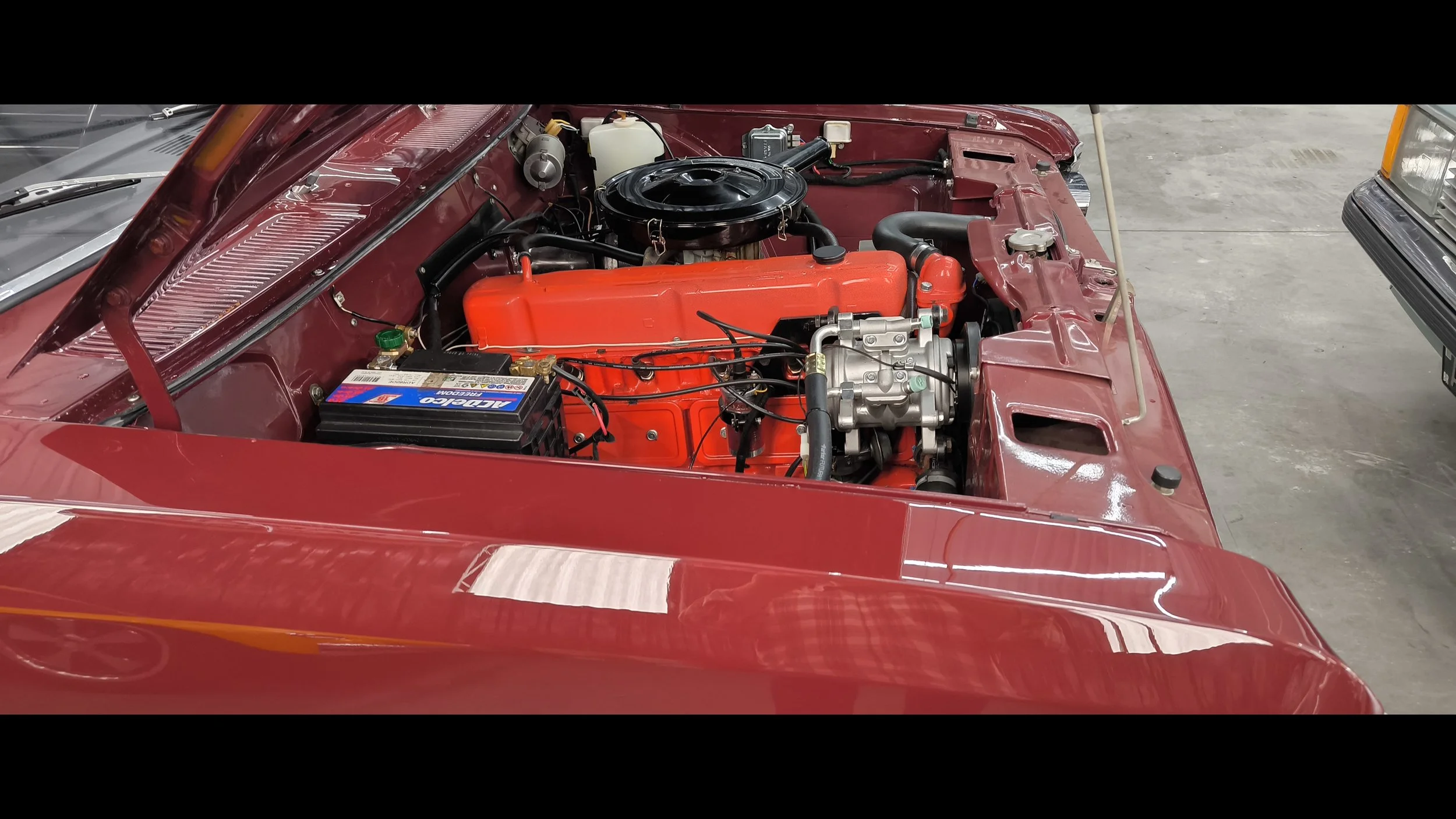 opala for sale (27).jpg