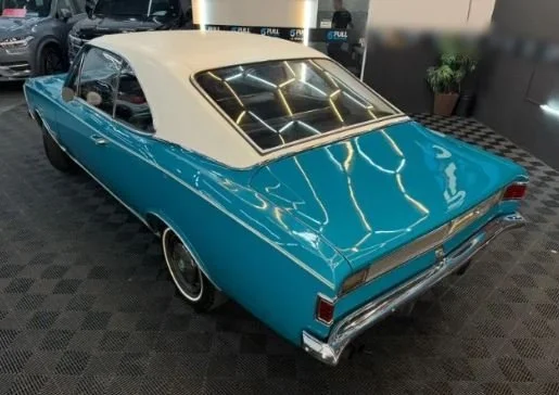 opala_5.JPG