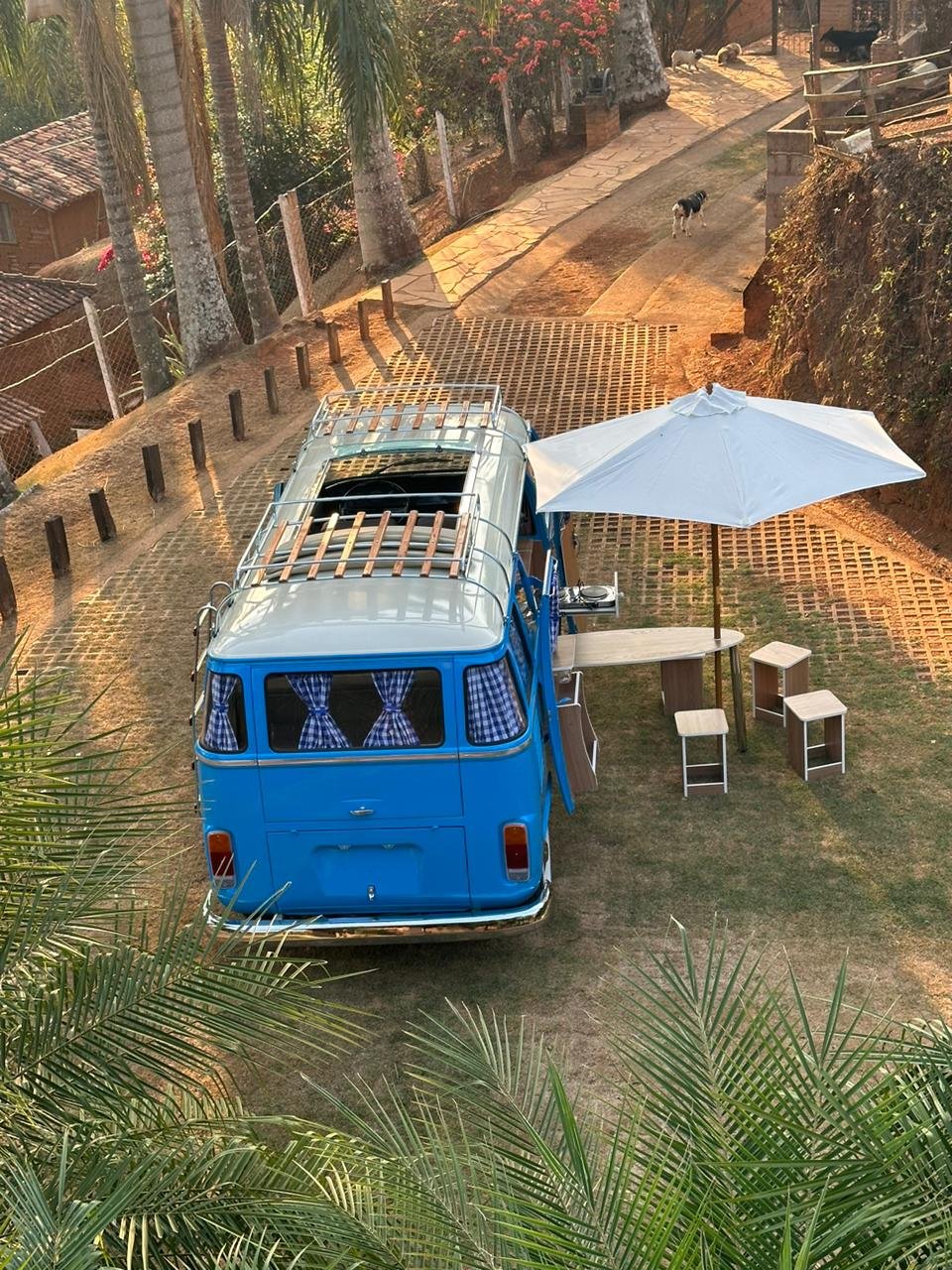 vw baywindow bus camper van for sale (17).jpeg