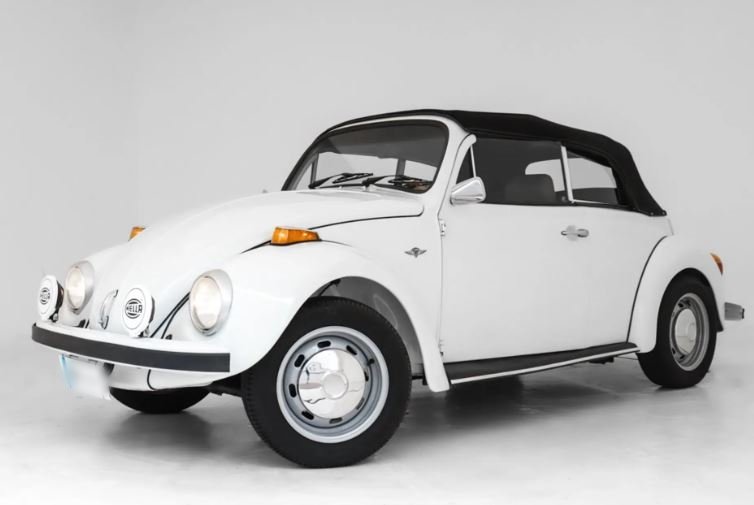 beetle.JPG