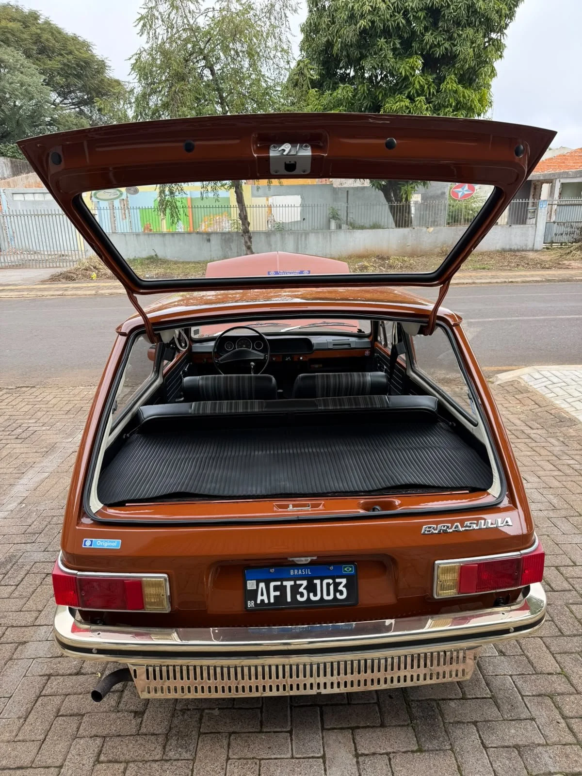 new photos (7).jpeg