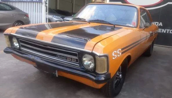 opala_1.JPG