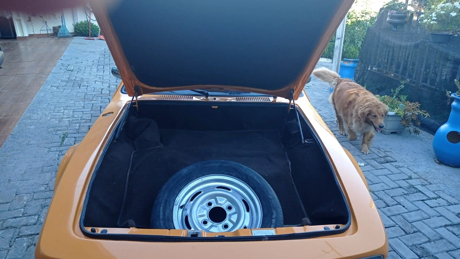 WhatsApp Image 2026-03-26 at 09.17.28 (3).jpeg