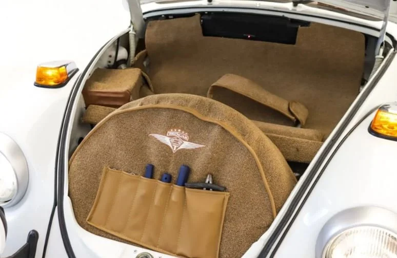 beetle_6.JPG