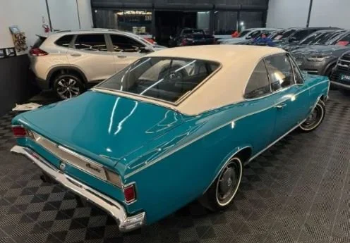 opala_7.JPG