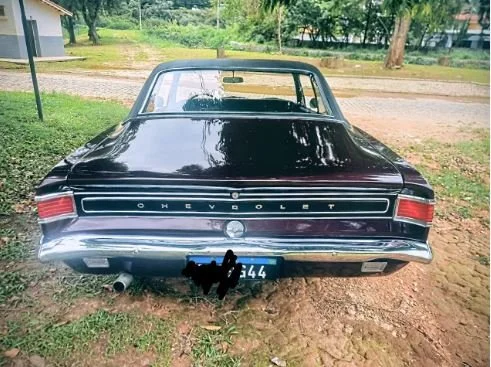 opala_13.JPG