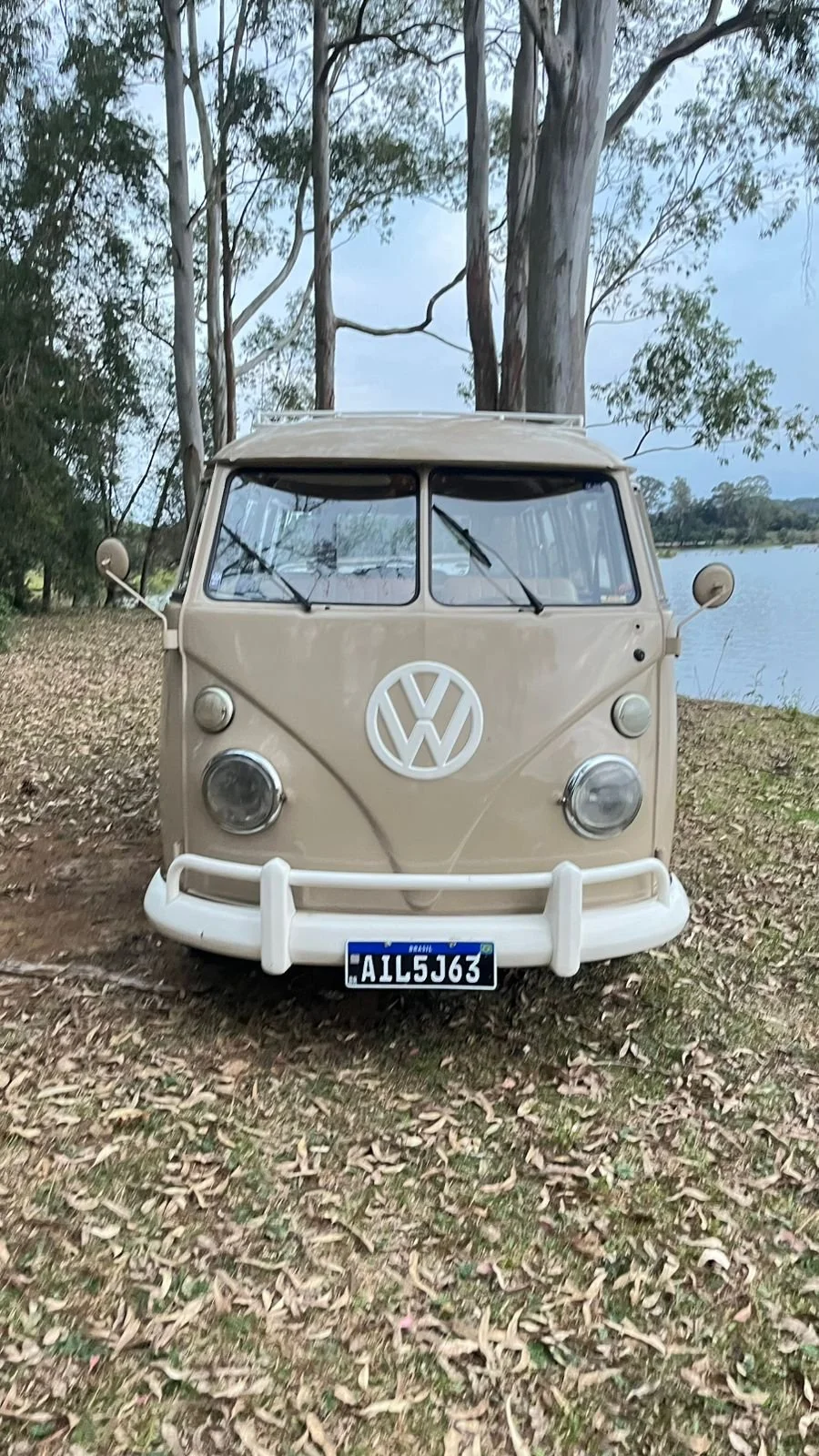 vw t1 splitwindow bus for sale (43).jpeg