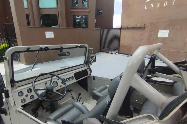 classic javali diesel engine for sale_4.JPG